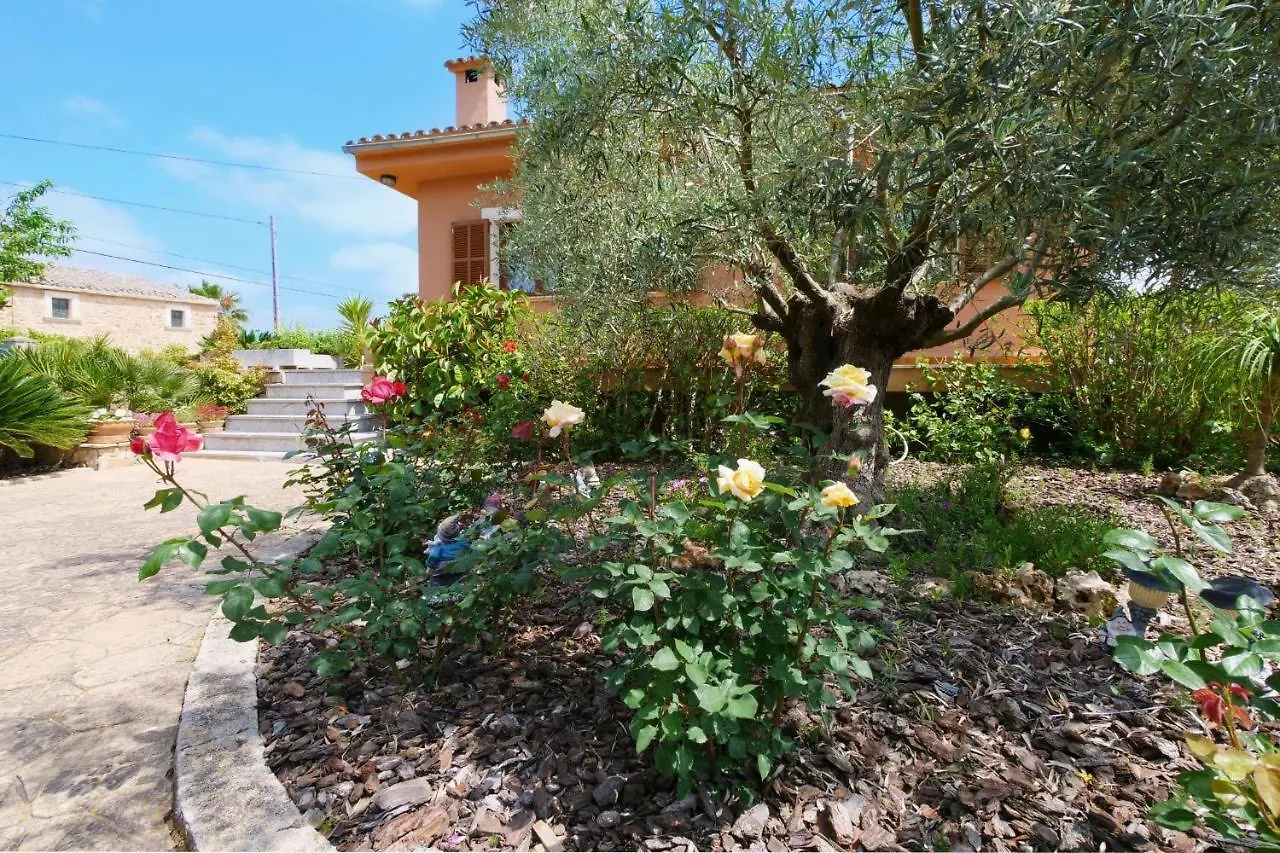 Es Viola - Xabola-1262/2014 Villa Santa Eugenia